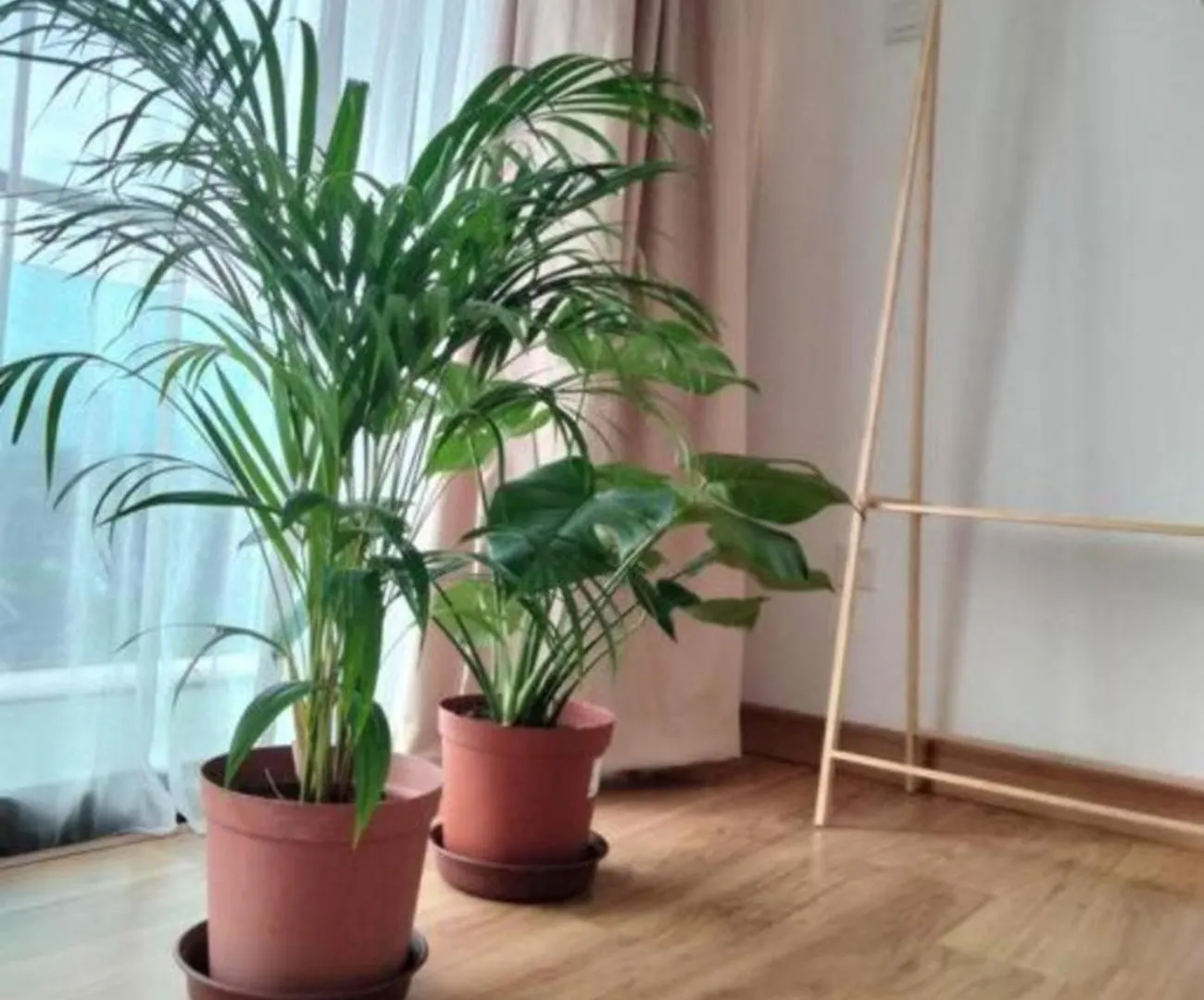 03 Palazio Apartment Japanese Style Studio Mount Austin Wifi & Netflix Johor Bahru Ma­lay­sia